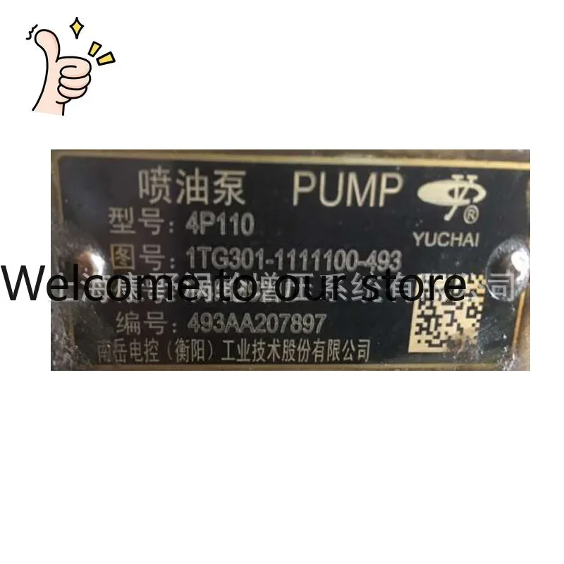 Fuel Injection Pumps 1TG301 B4PM921D And E02009 B4PN93L And E1200 B4PN93H3-R