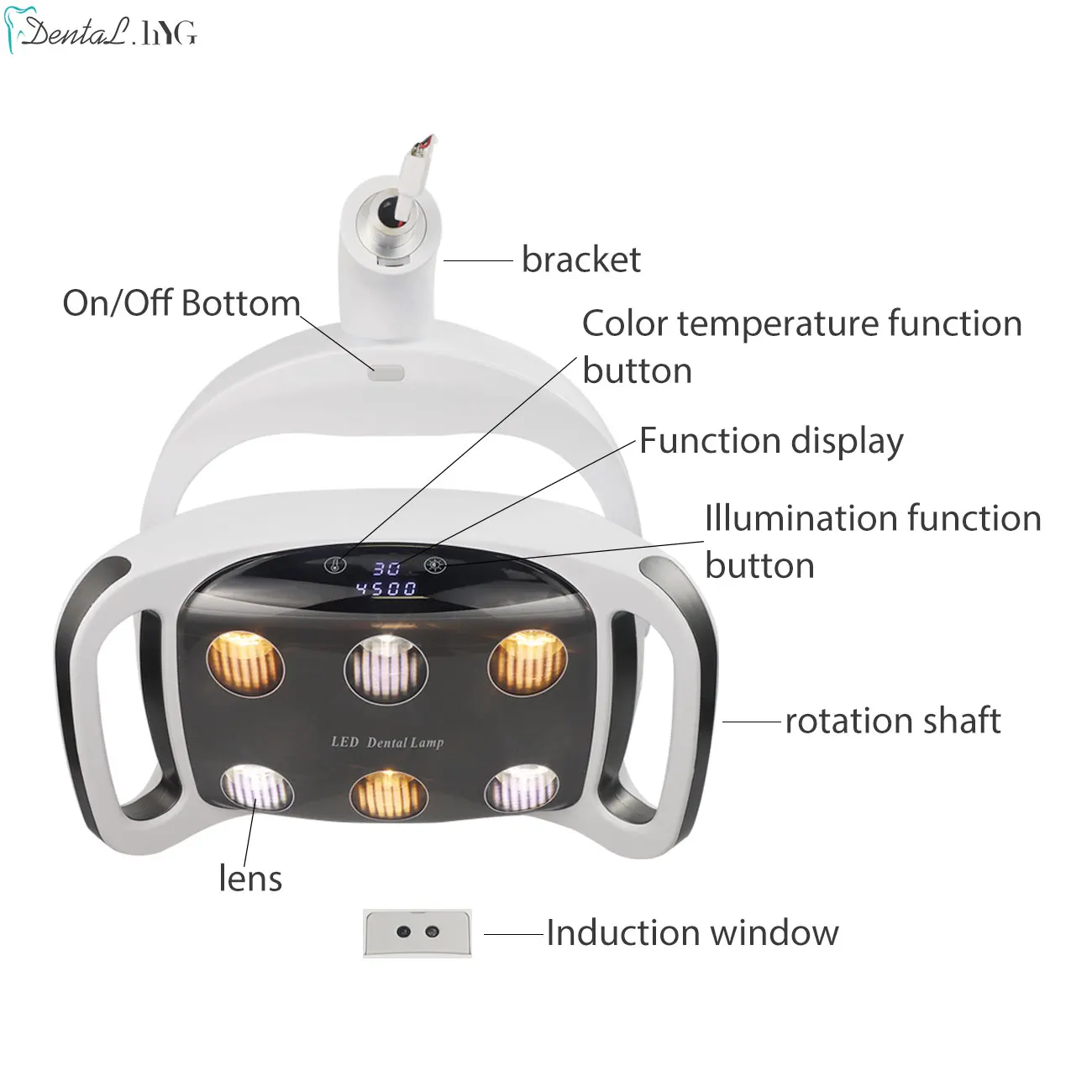 6 LED Dental Equiment Operação Lâmpada Dental Cadeira LED Luz Shadowless Com Indução Clínica LED Lâmpada Dentes Whitening