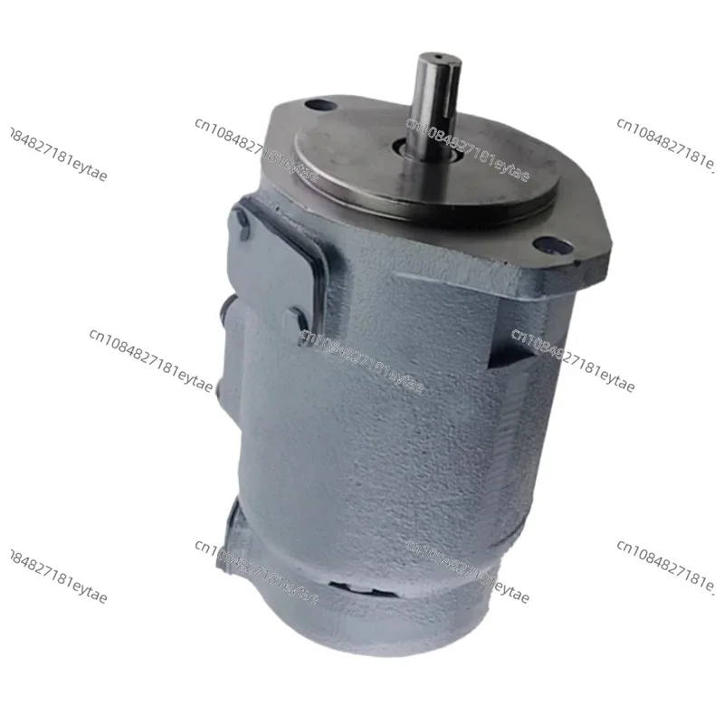 

Hydraulic Pumps SQP Series SQP21 SQP31 SQP32 SQP41 SQP42 SQP43 Double Vane Pump High Pressure Quantification