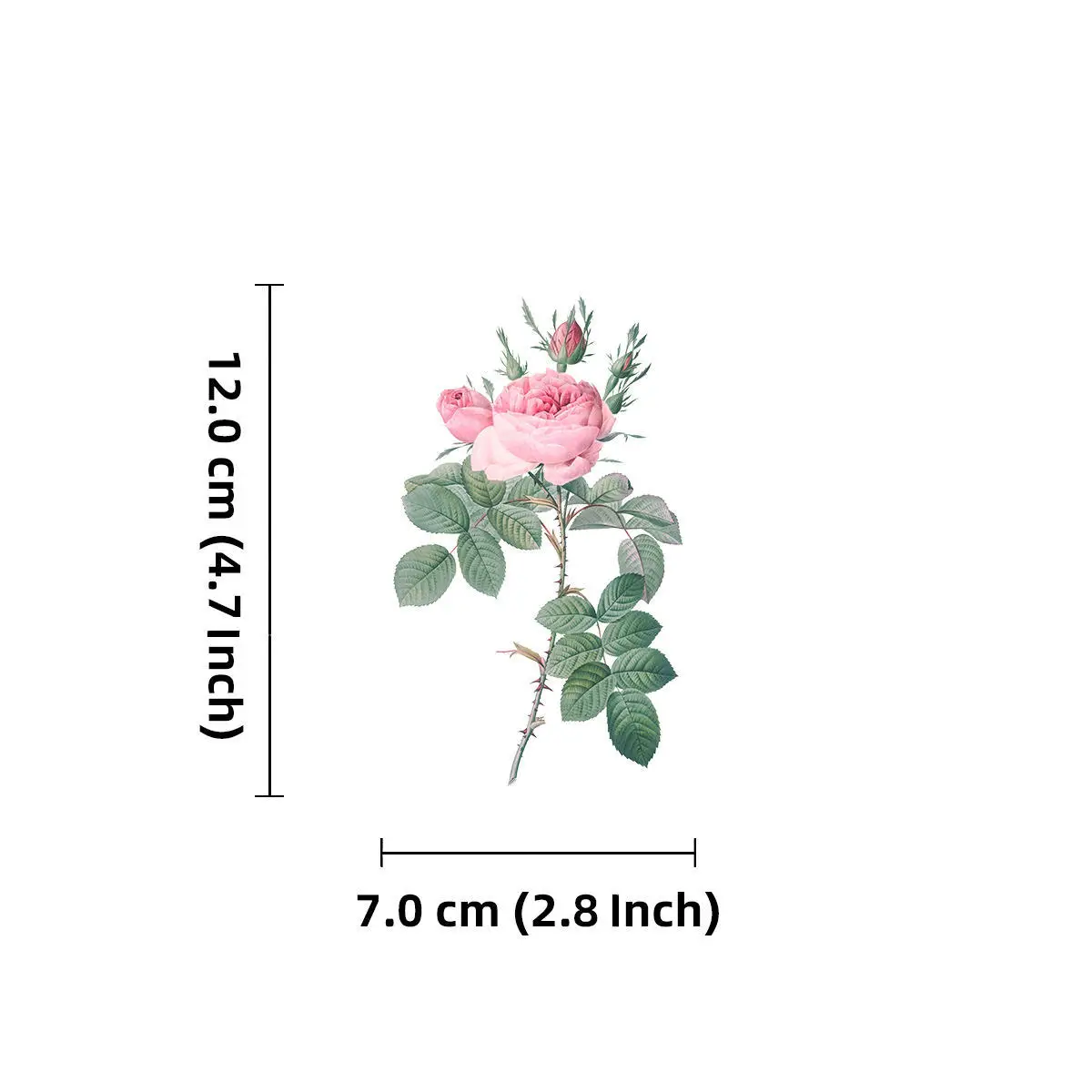 7Sheets Pink Flower Romantic Rose , 6 Styles +1 Transparent Bottom Frame,Creative Fashion Transparent PET Scrapbooks Sticker. 