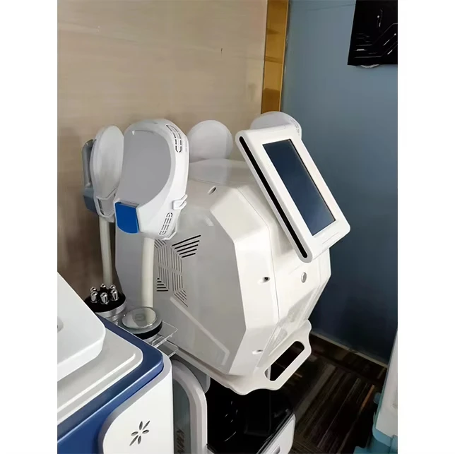 Máquina para esculpir el cuerpo Ems con mango Rf 2/4 Renasculpt Ems