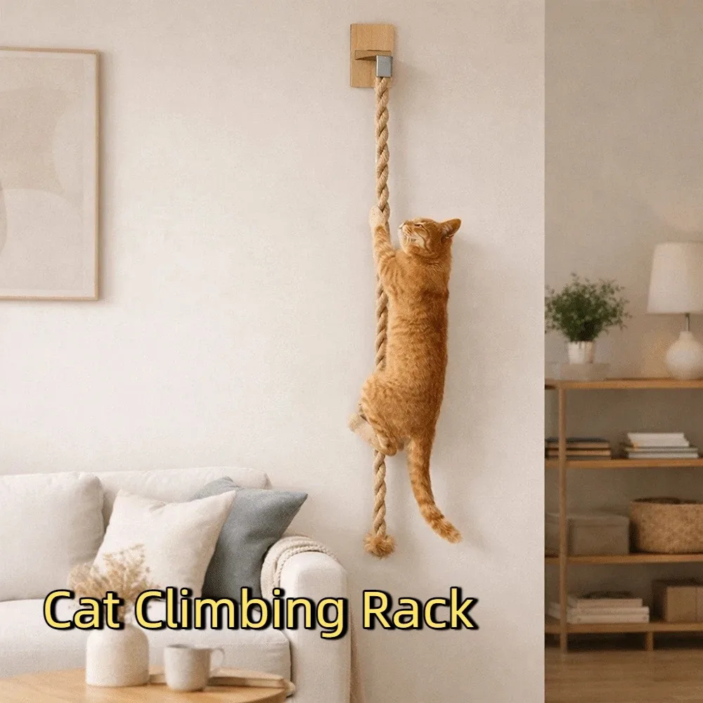 Cat Scratching Post