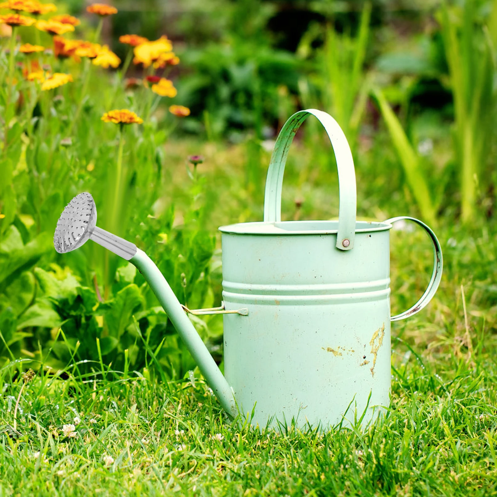 

1pc Watering Can 27mm Stainless Steel Sprinkler for Stainless Steel Urinal Wall Mount Indoor Outdoor Plants Hose Garden Kettle