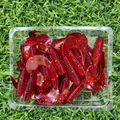 GD10 20PCS 02