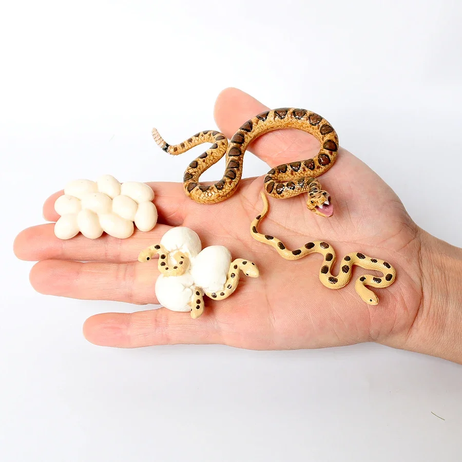 Snake Figurine Toy Animals Figures Python Krait Cobra Snakes Model Action Figure Life Cycle Animal Children Toys Game Kids Gifts