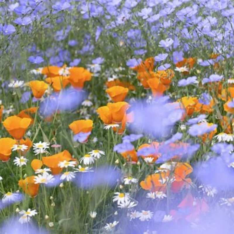 

Шестигранная ступица колеса 7 мм для WLtoys 244016 LOSI Micro-B 1/24, металлическое обновление радиоуправляемого автомобиля, комплект аксессуаров OP