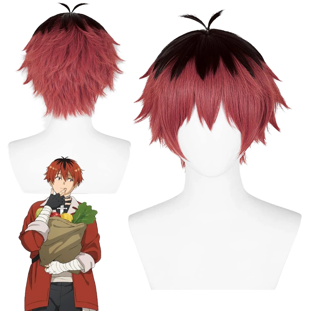 Anime Sousou of Frieren Fantasy Stark Wigs Cosplay Costume Accessories Adult Men Roleplay Fantasia Prop Man Halloween Hair Decor