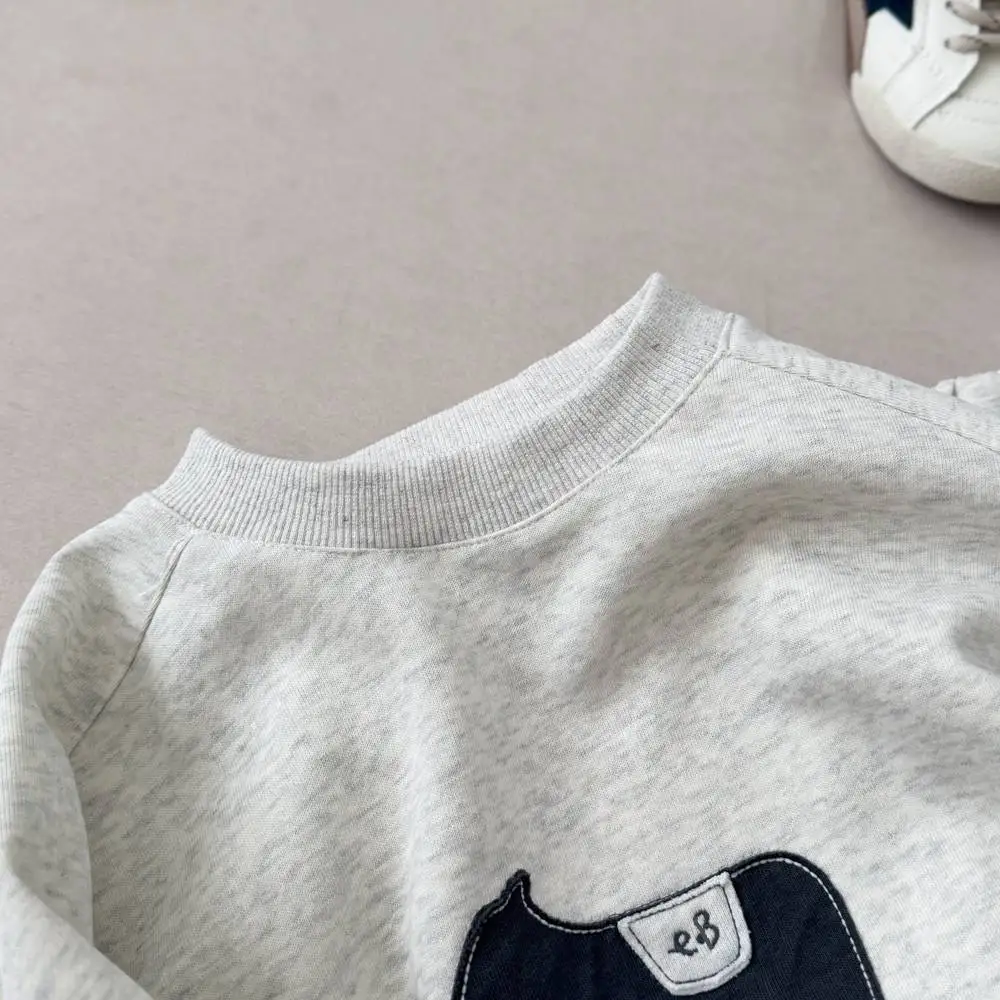 Kinderkleidungssets 2026 Herbst Baby Jungen Mädchen Cartoon-Patch-Stickerei Langarm-Pullover-Oberteil+Hose 2-teiliges Freizeit-Outfit für Kinder – Detail 10