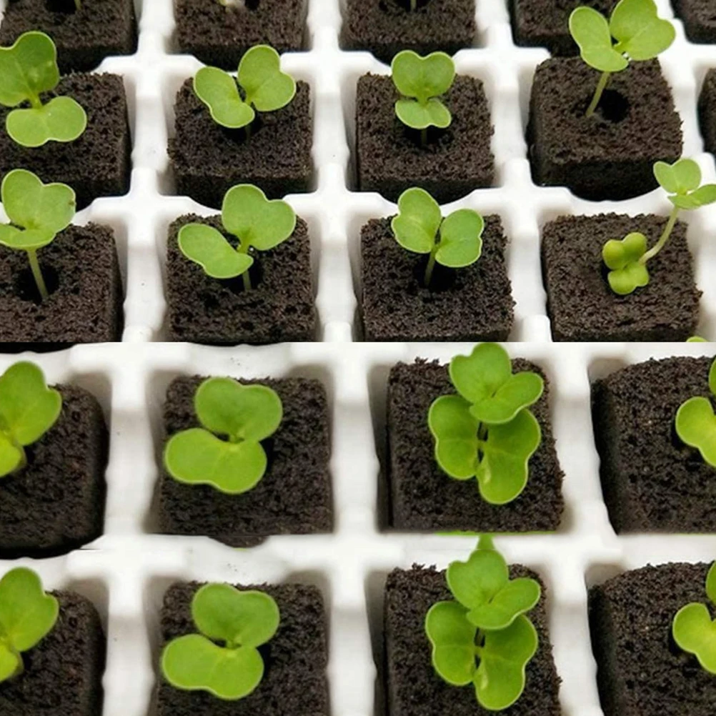 

20pcs Seedling Blocks 30x30x40mm Nutrient Soil Balcony Vegetables Flowers Pot Gardening Supplies Indoor Plant Fertilizer Water