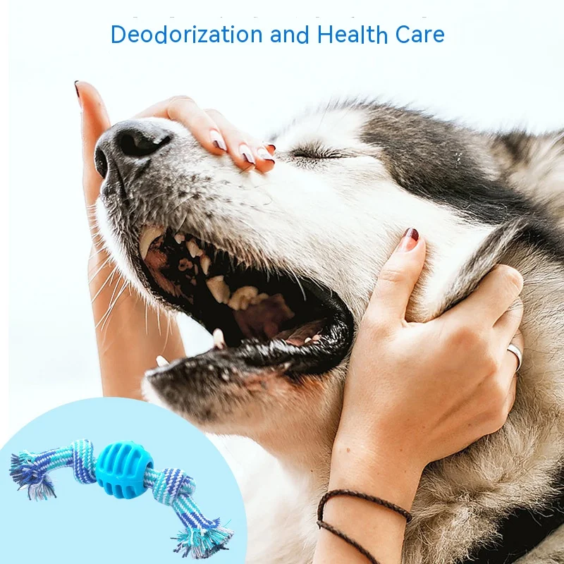 Jouet à mâcher en ULde coton à double nœud pour chien de compagnie, jouet de dentition pour chiot, fournitures pour animaux de compagnie, degré de morsure