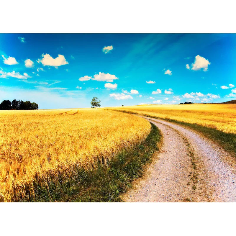 Quốc Lộ Phong Cảnh Thiên Nhiên Nền Chụp Ảnh Du Lịch Phong Cảnh Vinyl Chụp Ảnh Phông Nền Phòng Thu Đạo Cụ 2162 TKGL-04