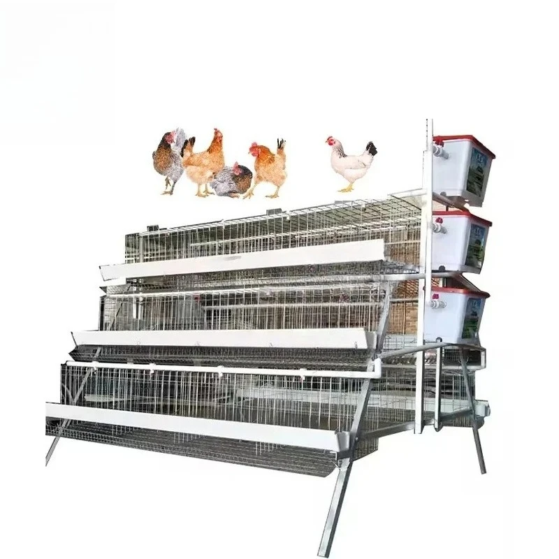 Automated Poultry F… - image