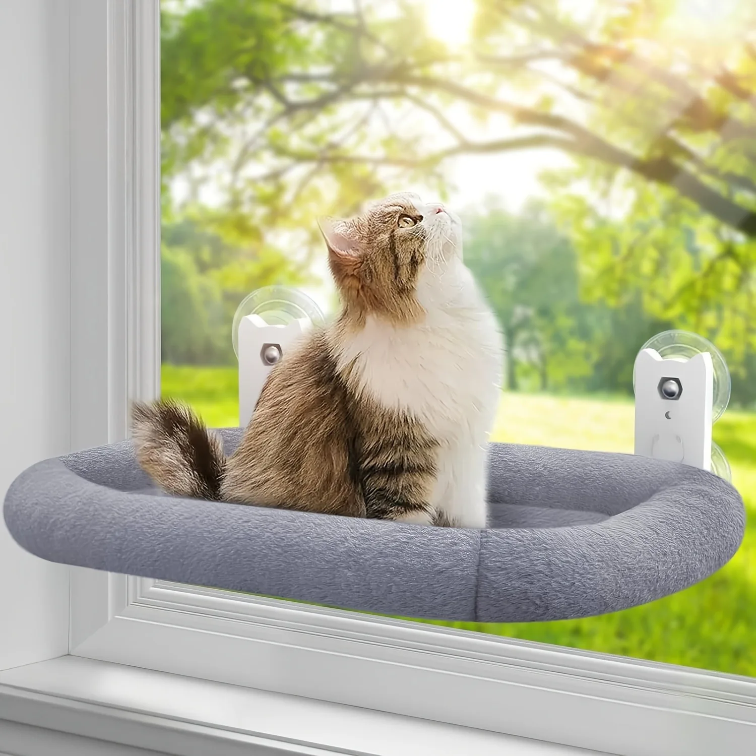 Cats Hammock Window Pet Products Balcon Accessories Houses Beds Kitten Pets Hammocks Hanging Things Furniture Cat