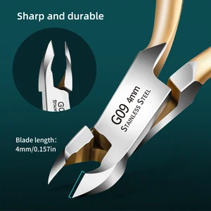 Tothautschere aus rostfreier Stahl, Nagelschneider -Barb -Scisors, spezielle Peelingzange, Gold Salon 6 Hauptverkauf Gold Pingo Seiten - №4