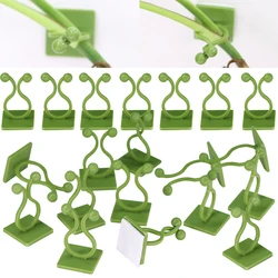 8-50PCS Climbing Plant Fastener Clip Self-Adhesive Tied Vine Fixture Clamp Buckle Hood Holder Supporting Wire Wall Stem Traction