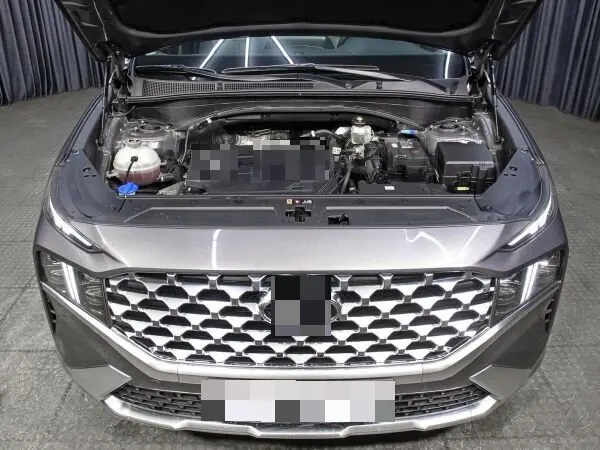 

2PCS Hood Damper Replace For Hyundai Santa Fe MK4 (TM/TMA) SUV 2018.2019–2023 Front Bonnet Gas Struts Lift Support Shock Piston