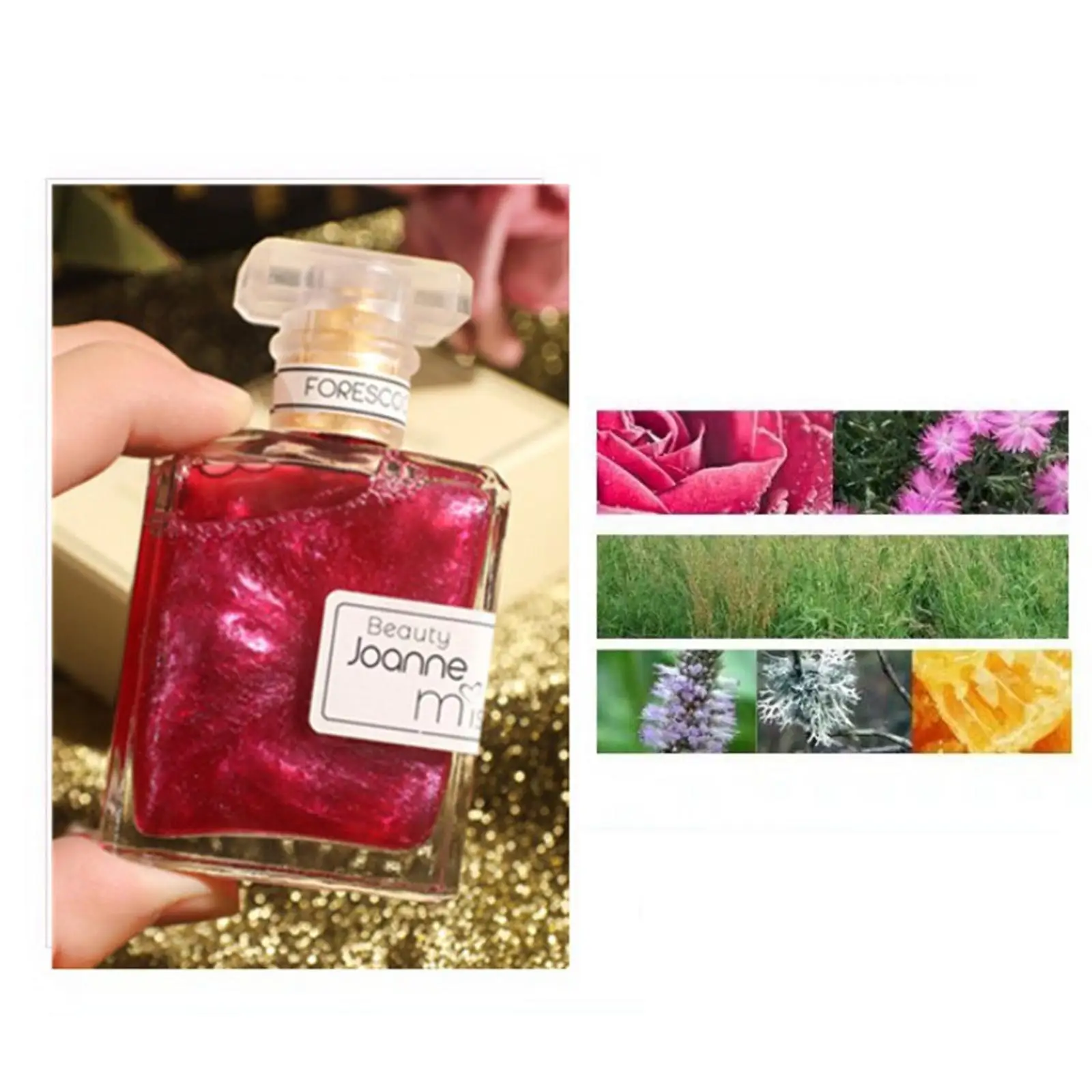 Travel Lady 1.7 Ounce Charming Fresh Cosmetics Perfume Spray Long Lasting