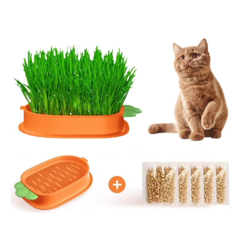 

New Pet Cat Sprout Dish Growing Pot Hydroponic Plant Cat Grass Germination Digestion Starter Dish Greenhouse Grow Box