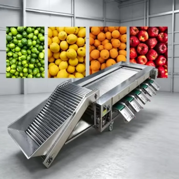High Efficiency Fruit Sorting Machine, Cherry Tomato/Blueberry/Apple/Citrus/Onion Size Grader Selector