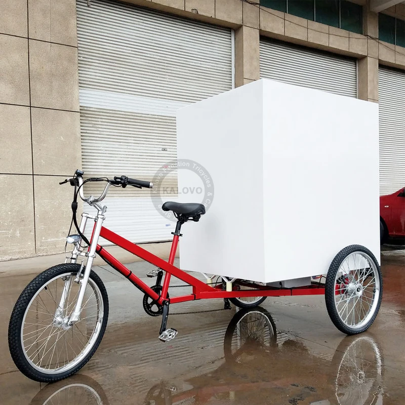 Customized Electric Cargo Tricycle Stronger Power Blue Color Delivery Bike With Cabin And Canopy For Driver