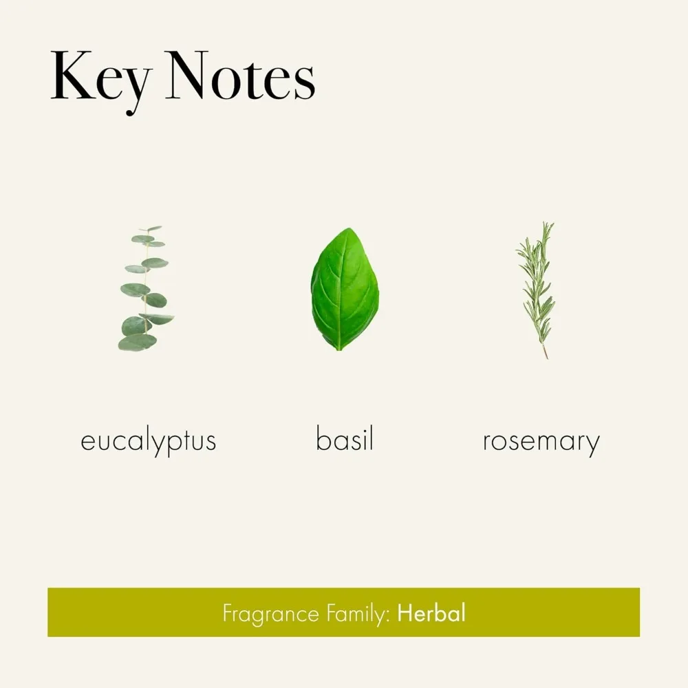 Classic 6.5 oz Candle with 50-Hour Burn Time, Rosemary Eucalyptus Scent, Reusable Hand Blown Glass Vessel, Made in USA