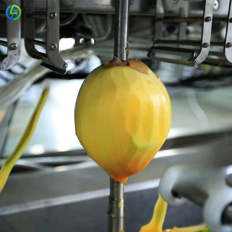 Customized Automatic 16 Heads Mango Peeling Machine for Vegetable and Fruit Skinning Machine Suitable for Fruit Processing