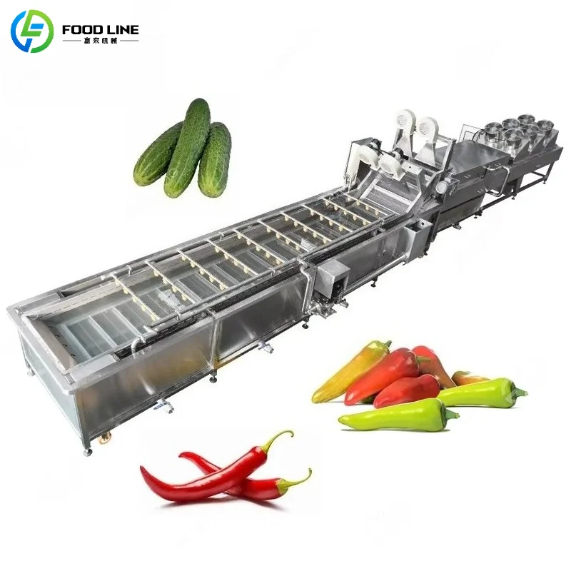 Customized High-Efficiency Fruit and Vegetable Washing Machine Bubble Cleaning Sprinkler System Commercial Device