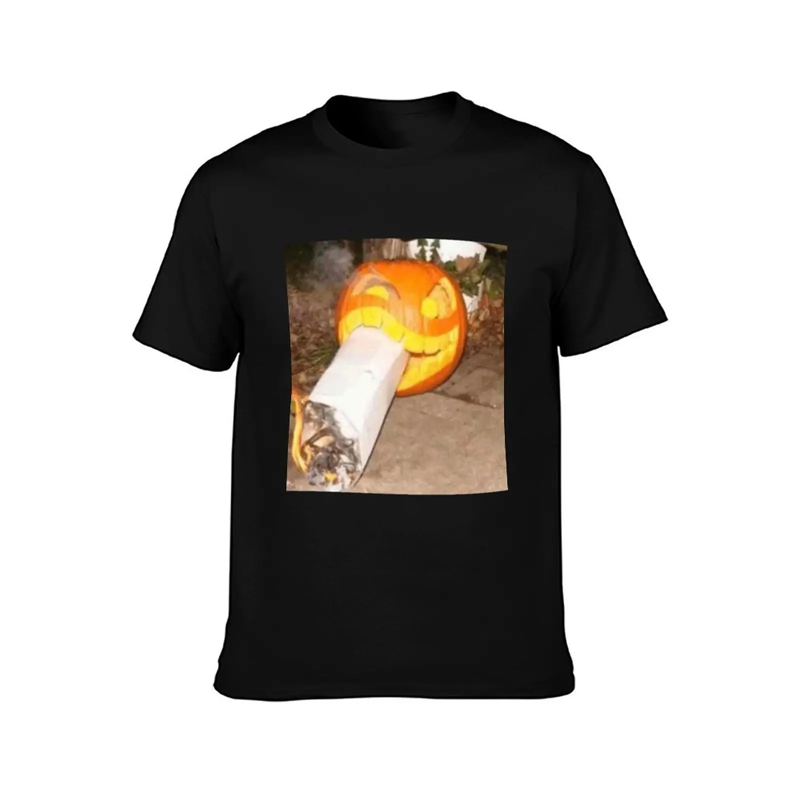 My honest reaction to that information T-Shirt Casual Soft Cotton Short Sleeve Tee T-Shirt