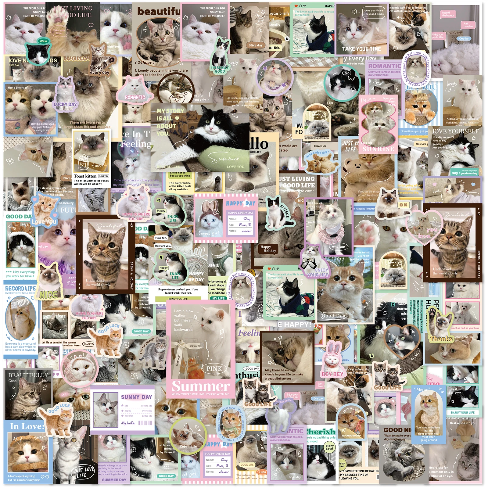 50pcs INS Cat Album Stickers DIY Decorative Laptop, Water Bottle, Diary, Motorcycle Accessories, Waterproof PVC Stickers