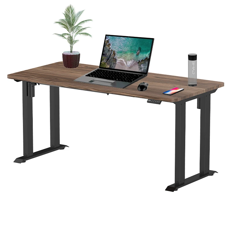 Smart 4 Legs Standing Desk Ergonomic Electric Desk Lift Height Adjustable Sit and Stand Table Frame Gaming Desk Dual Motor