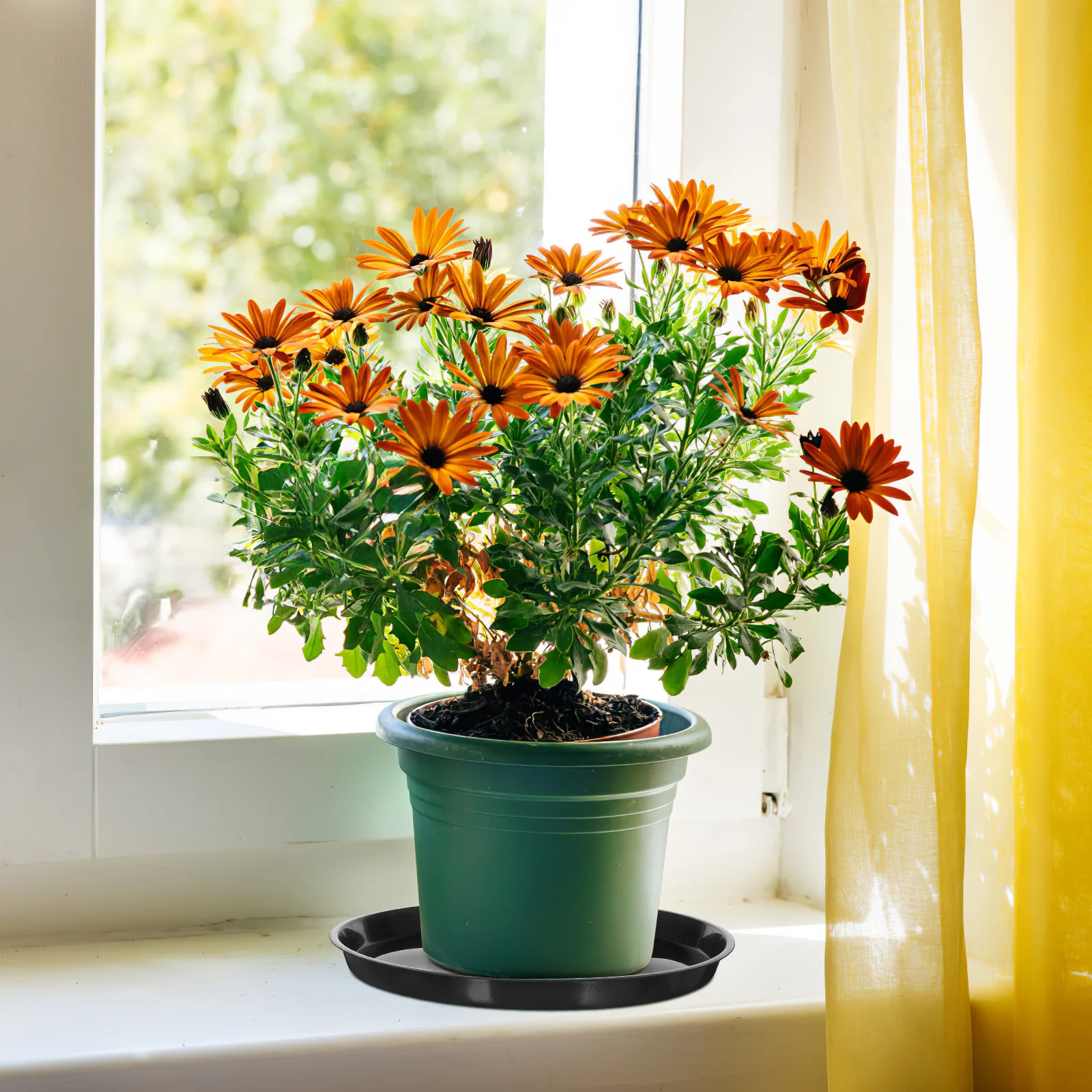 

10Pcs Plastic Round Plant Saucers Durable Pot Drainage Trays Indoor Outdoor Water Catching Plates Planter Trays