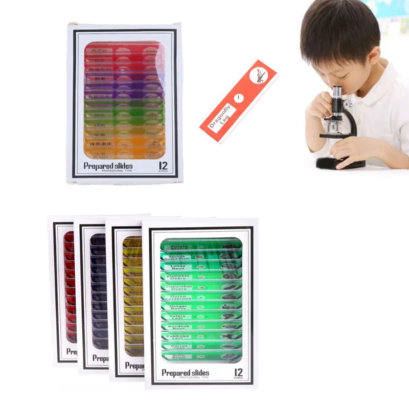 12/48Pcs Microscope Slides Lens Biology Plant Flower Animals Sample for Children Home School Science Educational