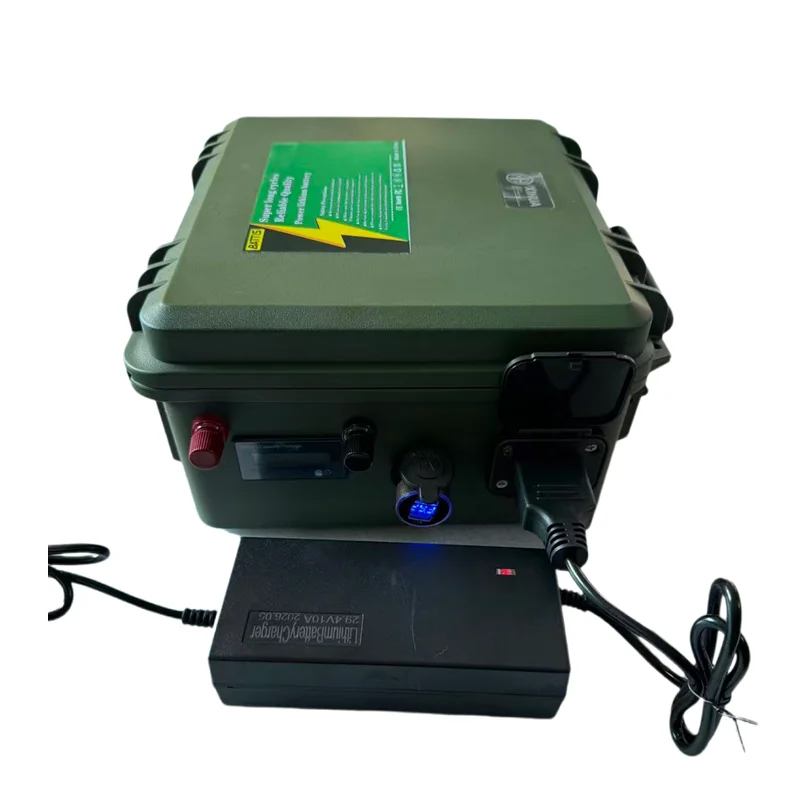3S 12V 50Ah 60Ah 80Ah 100ah 150Ah 200ah lithium li ion battery pack for kayak Trolling Motor Fishing Inflatable Boat camping