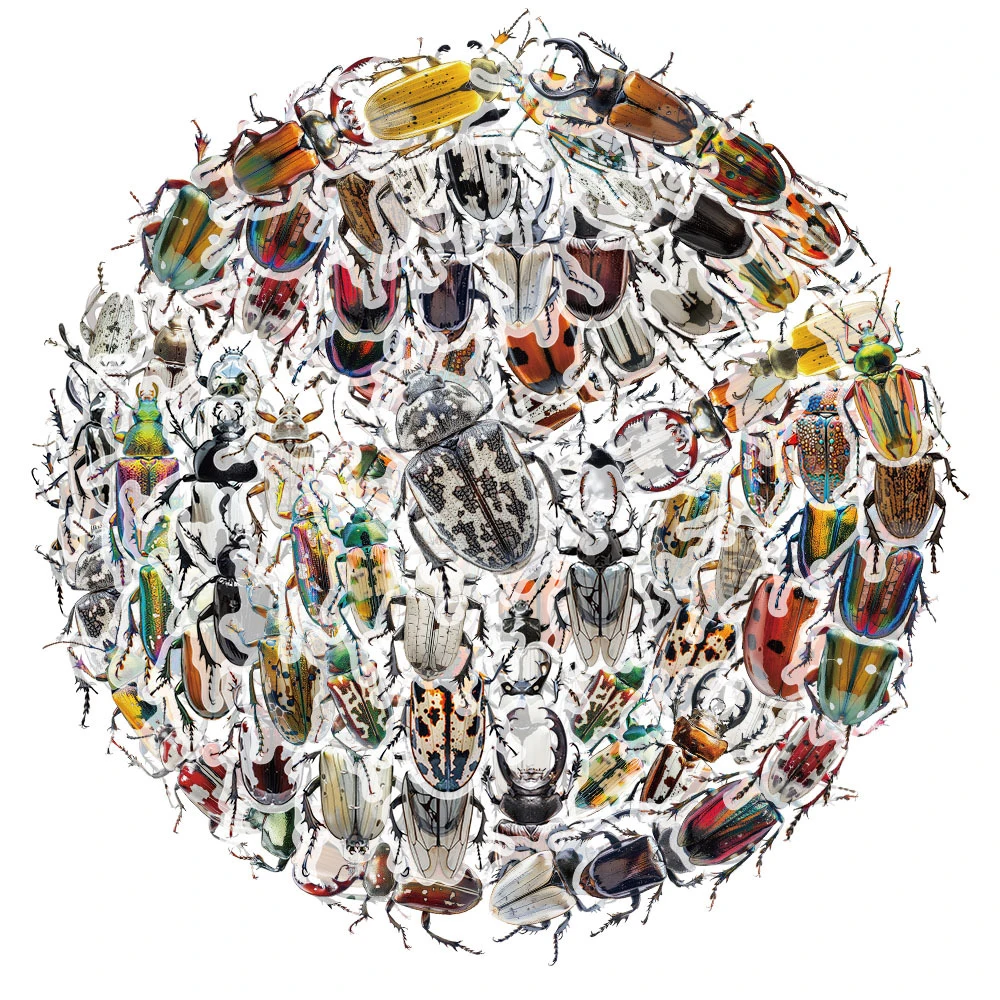 

10/30/50pcs Cartoon Beetle Insect Specimen Stickers Transparent Colorful Graffiti Decals Notebook Phone Luggage Sticker Packing