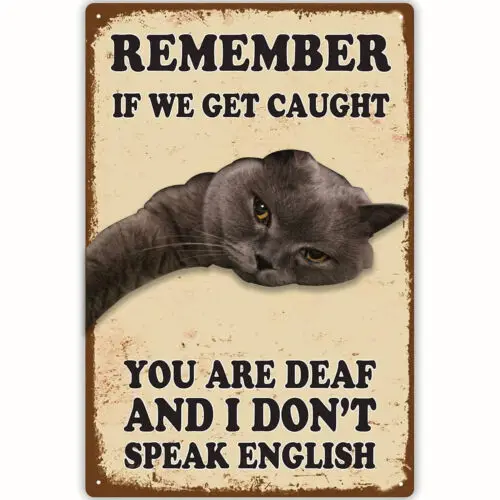 Fun Decorative Vintage Cat Metal Tin Sign Remember If We Catch You Deaf I Don't