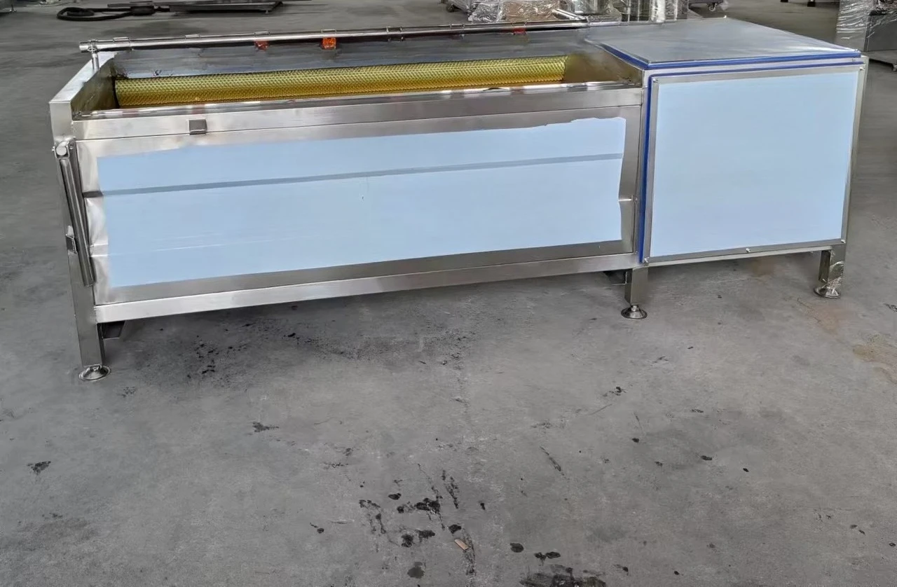 Full Automatic Industrial Fresh Fruit and Vegetable Dried Fruit Mango Raisin Washing Drying Making Machine Production Line