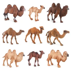 Camel Figurine Wild Animal Figurines Action Figure Toy Animals Figures Home Decoration Christmas Gifts Novel Children Toys Games