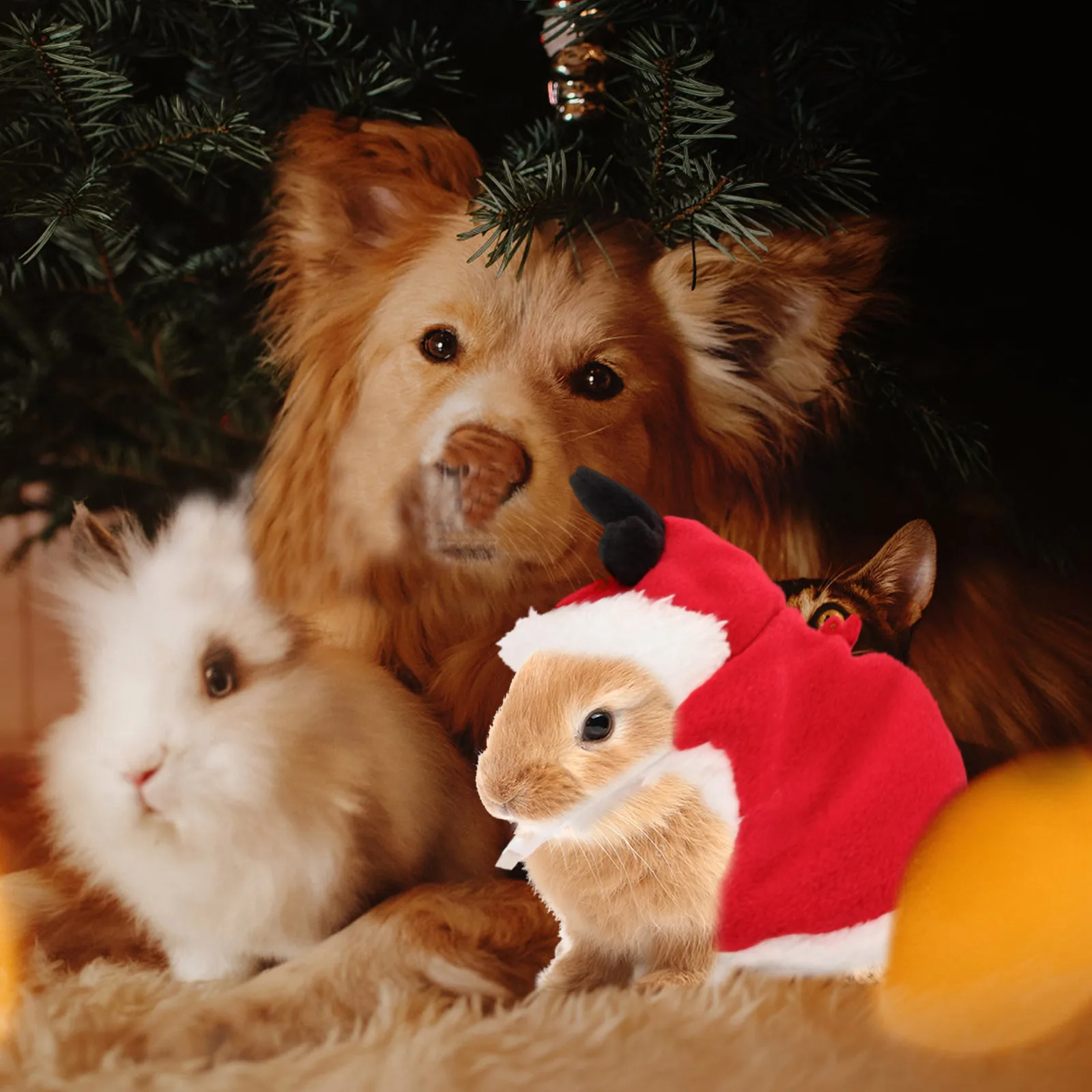 

Pet Christmas Clothes Warm Thickened Size Rabbit Harness Leash Small Pet Traction Rope Durable Portable Anti Escaping