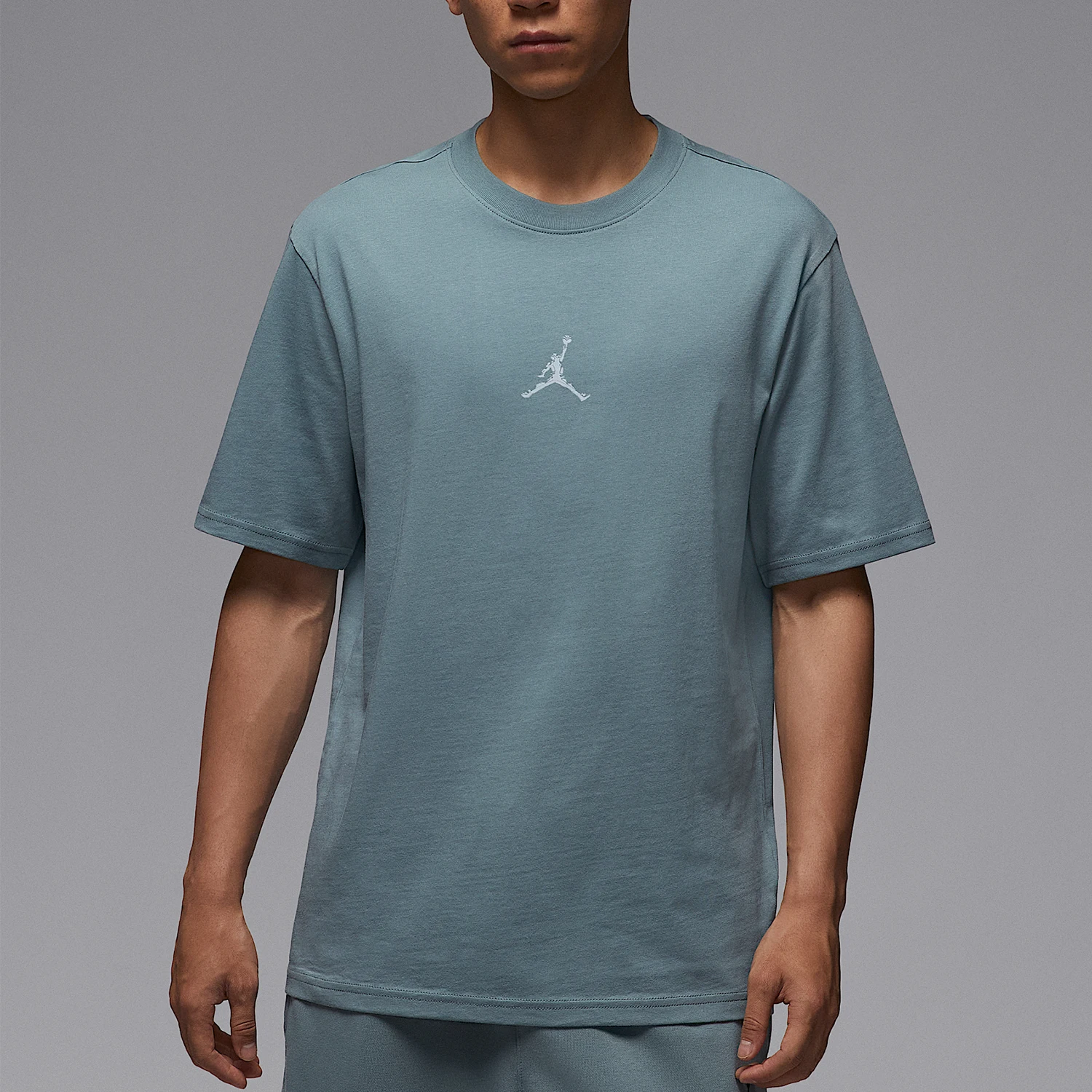 nike-authentic-jordan-mens-sport-training-logo-printed-short-sleeve-hq8971-041