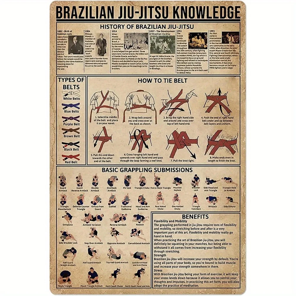 Panneau métallique éducatif sur le Jiu-Jitsu Brésilien - Guide des arts martiaux avec histoire, ceintures et avantages - 20,32x30,48 cm - Idéal pour la maison