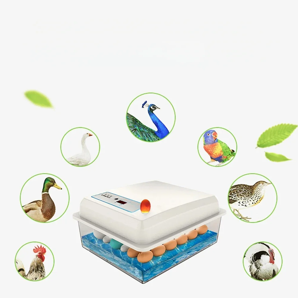 

20 Eggs Incubator Brooder Poultry Hatcher Automatic Bird Quail Incubator Farm Incubation Tools