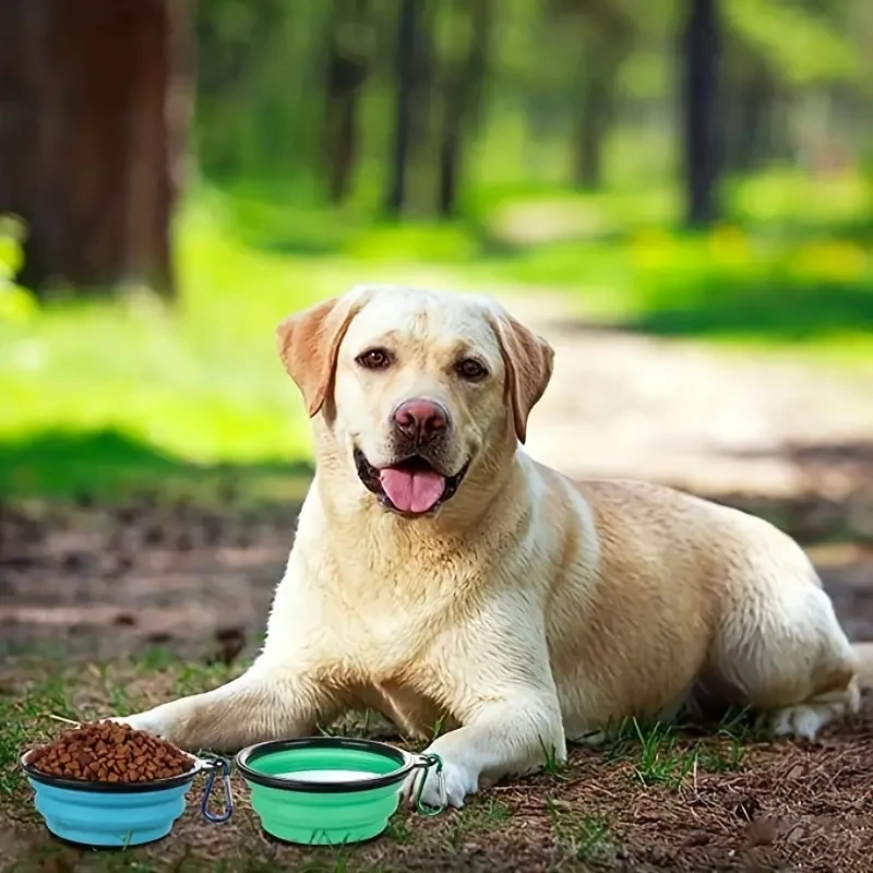 2 Pack Portable Collapsible Dog Bowl with Cover Travel-Friendly Waterand Food Dish with Lid