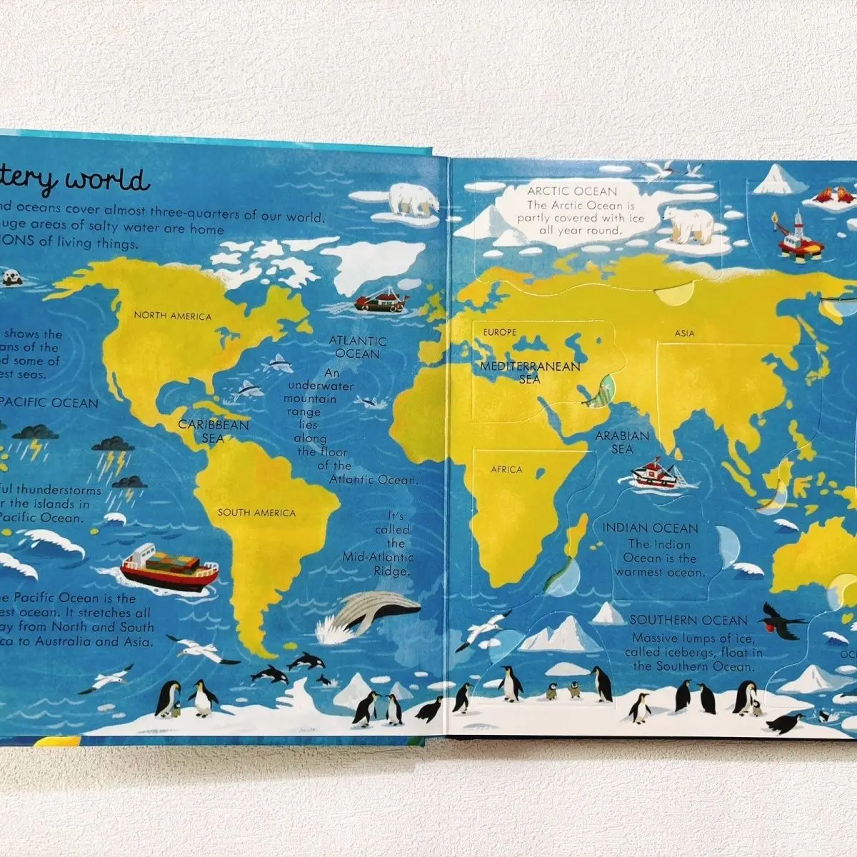 Look Inside Seas and Oceans Children's early education science popularization flipbook