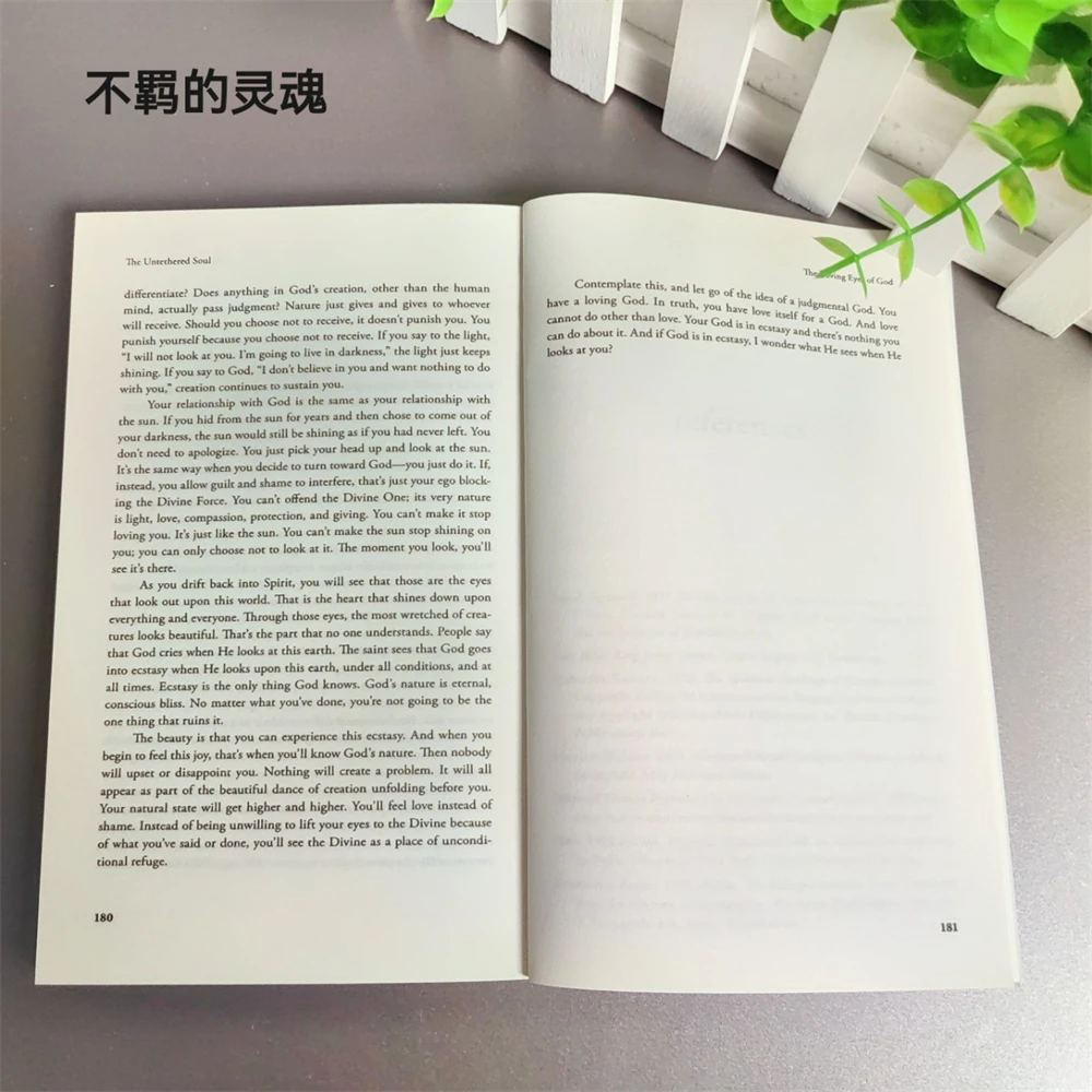 De ongetemde ziel van Michael A. Zanger De reis voorbij jezelf Roman # 1 New York Times bestseller paperbackboek