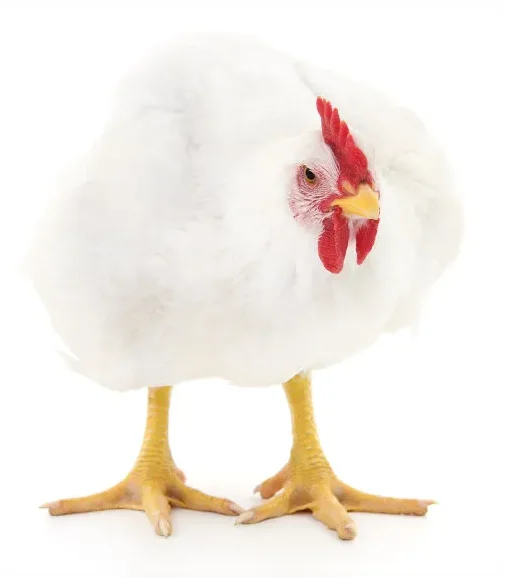 

8Pairs Gemfan 1611-3-40mm 3-Blade Propeller 1.5mm Shaft for Pavo Femto - Tiny Whoop FPV Drone Replacement Props