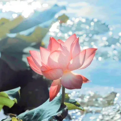 

MN MN82T LC79 MN82S MN82Pro MN82 1/12 Радиоуправляемый автомобиль Металлический комплект обновления