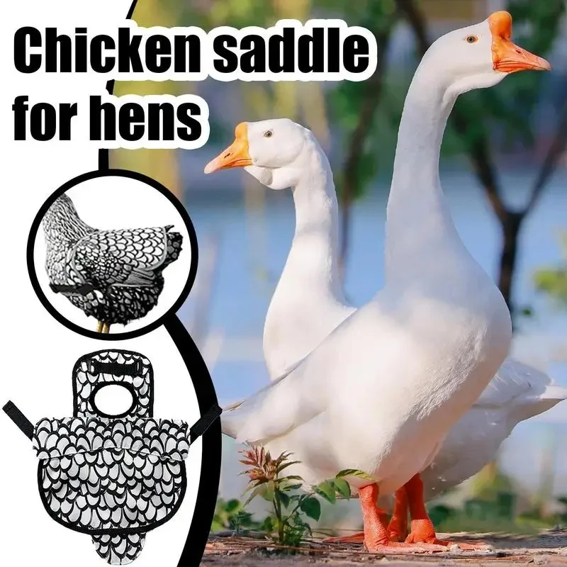 New Chicken Hen Mating Saddle Chicken Apron Back Protector for Hens With Adjustable Strap Outdoor Use for Hens Roosters - Image 5