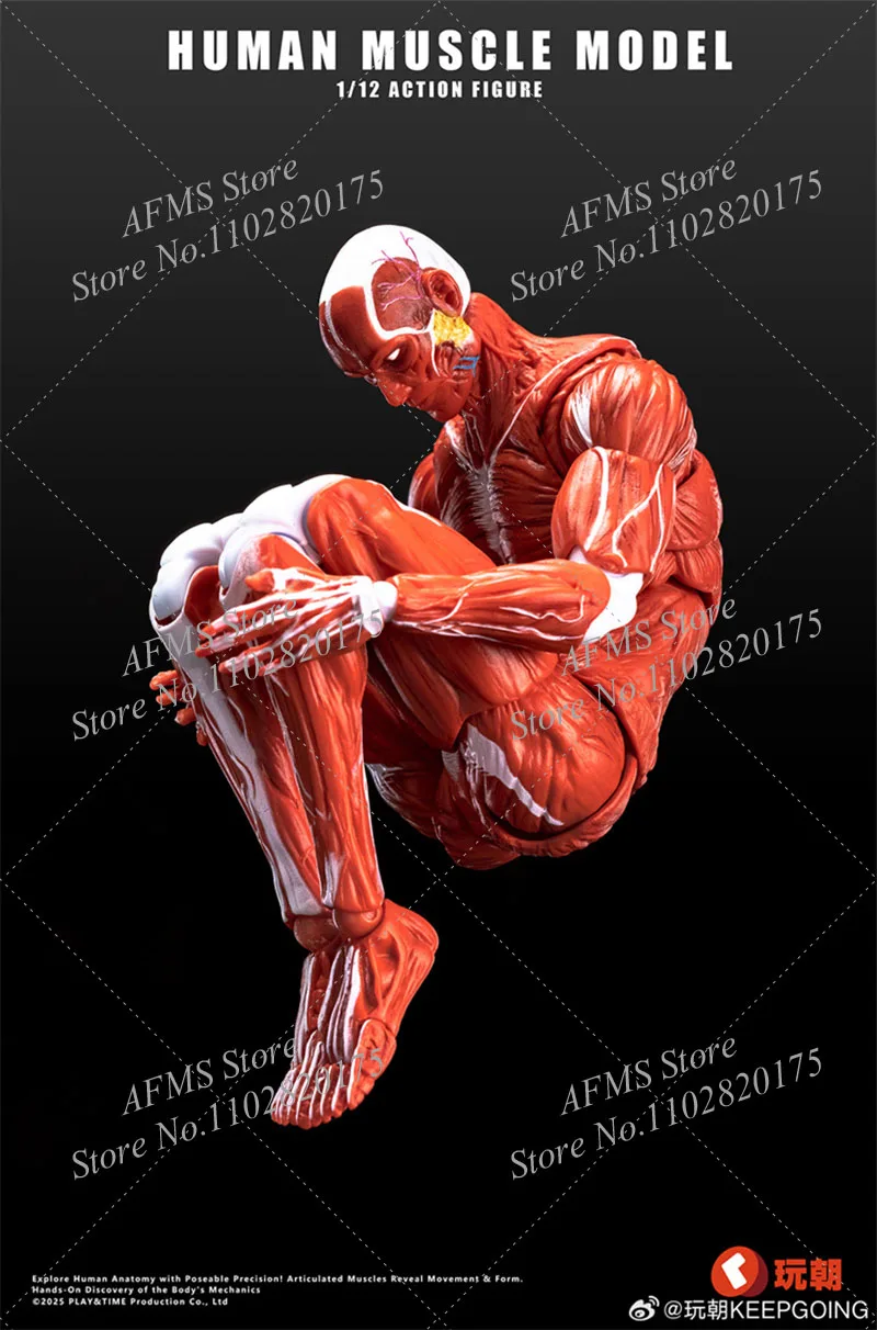 KEEPGOING Scala 1/12 Figura Da Collezione Modello Muscolare Umano 6 "Action Figure Soldato Modello di Scheletro Artista Medico Disegno Giocattoli