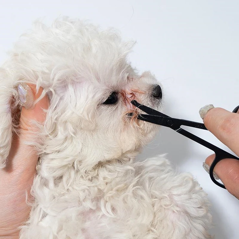 1/2 ชิ้นแบบพกพา Pet Eye Comb Tear Stain Remover แปรงแมวขนาดเล็กลูกสุนัขกรูมมิ่งหวีกรรไกรเครื่องมือสัตว์เลี้ยงอุปกรณ์ทําความสะอาด