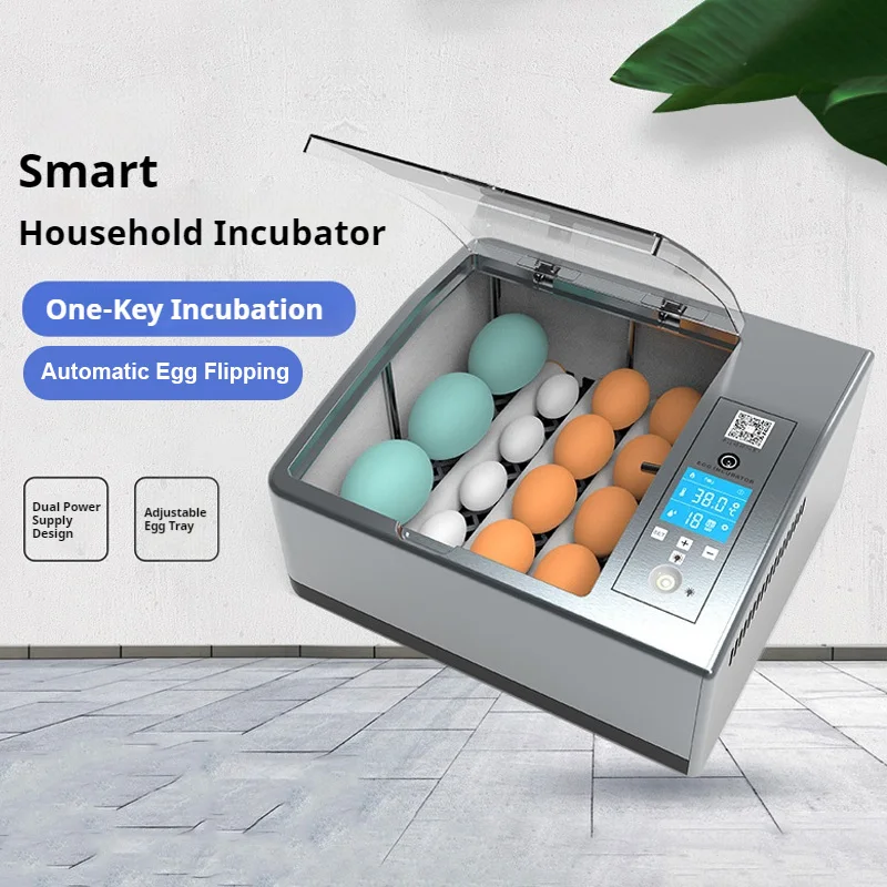 

Small Smart Egg Incubator Fully Automatic Home Use For Chicken Duck Goose Quail Eggs Hatch With Turning Candler Dual Power Gray